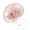 Pink, variant on UJNDER Bride Mesh Accessories for Prom Season in Europe and the United States Elegant Hair Bands and Clips Black