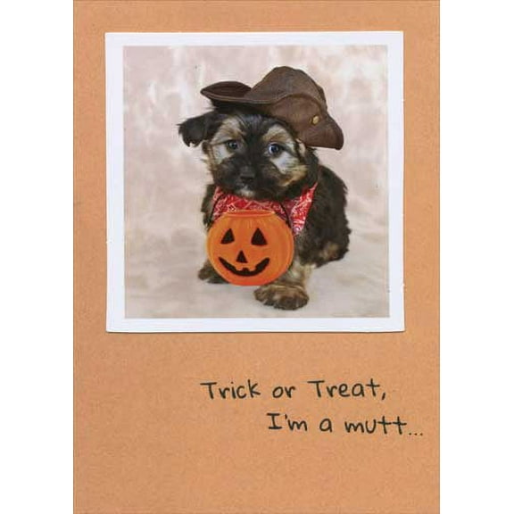 Recycled Paper Greetings Trick or Treat Mutt Funny Halloween Card