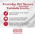 thumbnail image 2 of Nature's Miracle Stain & Odour Remover with Lavender Scent for Dogs, 3.78L, 2 of 6