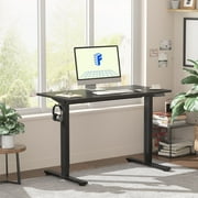 FLEXISPOT 40"x24" Home Office Height Adjustable Standing Desk with Hooks, Ergonomic Electric 2-Stage Stand Up Computer Desk, Black