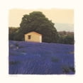 thumbnail image 2 of Amy Melious 15x15 White Modern Wood Framed Wall Art Titled - Lavender Country, 2 of 5