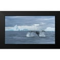 thumbnail image 2 of Liu, Richard 24x15 Black Modern Framed Museum Art Print Titled - Solo Dance, 2 of 5