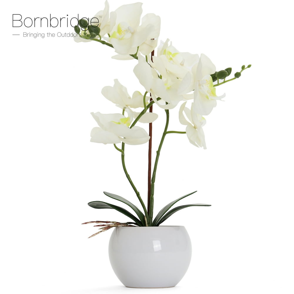 Bornbridge Artificial Orchid Fake Orchid Plant with Real Touch