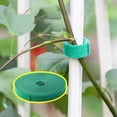 thumbnail image 4 of 5 Pack Garden Tie Green Strap Plant Supports Gentle on Plants Pre-Cut Design Tearable Reusable Sturdy Multi-Purpose for Home Garden Balcony Office, 4 of 8