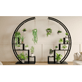 thumbnail image 6 of Black Plant Shelf, 5 tiers Metal Plant Stand with Hanger , Half Moon Shaped Creative Plant Shelf Holder for Home Patio, 6 of 6