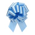 thumbnail image 1 of Berwick Offray 70192 Ruban à Tirer 5 Po. - Bleu Clair, 1 of 1