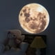 thumbnail image 4 of Lámpara de Luna, proyector de luz nocturna, estrella, Luna, Planeta Tierra, luz nocturna, proyector de Luna de 360 ​​grados, luz de carga USB, 4 of 5