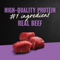 thumbnail image 6 of Cesar Loaf In Sauce Beef Flavors Adult Wet Dog Food Variety Pack, 3.5-Oz Trays 12 Ct., 6 of 15