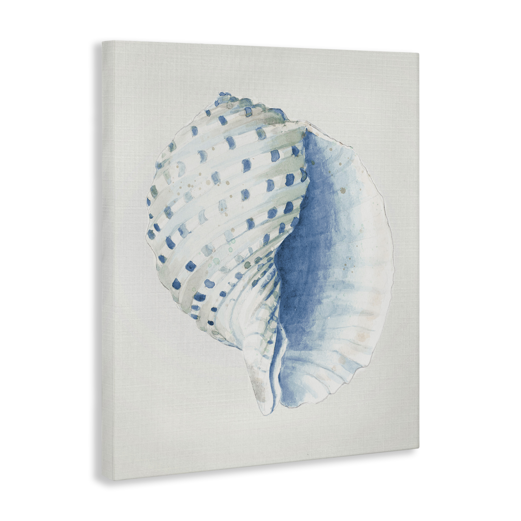 Stupell Industries Spotted Conch Shell Animals & Insects Painting Gallery Wrapped Canvas Art Print Wall Art, 16 x 20