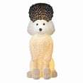 thumbnail image 6 of Gunhay Light-Up Poodle Garden Statue, 10.23" Glowing Resin Dog Figurine with Warm LED Light, Fall Halloween Yard Decor for Patio, Porch & Outdoor Home, 6 of 7