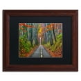 thumbnail image 2 of Trademark Fine Art "Paths" Canvas Art by CATeyes, Black Matte, Wood Frame, 2 of 5