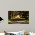 thumbnail image 1 of Cypress Tree Tunnel Wall Mural by Wallmonkeys Peel and Stick Graphic (18 in W x 12 in H) WM318013, 1 of 4
