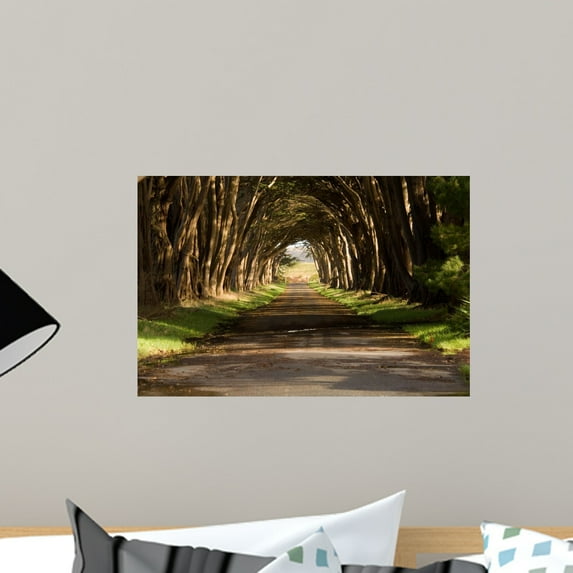 Cypress Tree Tunnel Wall Mural by Wallmonkeys Peel and Stick Graphic (18 in W x 12 in H) WM318013