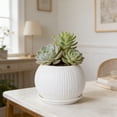 thumbnail image 4 of Macetas artificiales con platillos | Macetas decorativas de plástico para uso interior y exterior | Macetas pequeñas y medianas para suculentas y plantas de interior | Juego de 1, 4 of 6