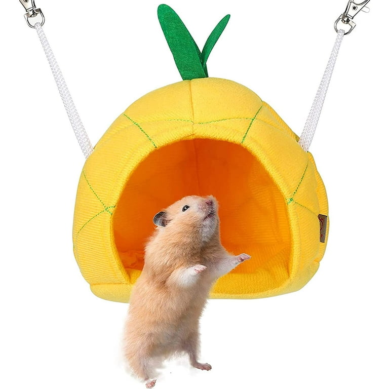 Hamster clearance house walmart