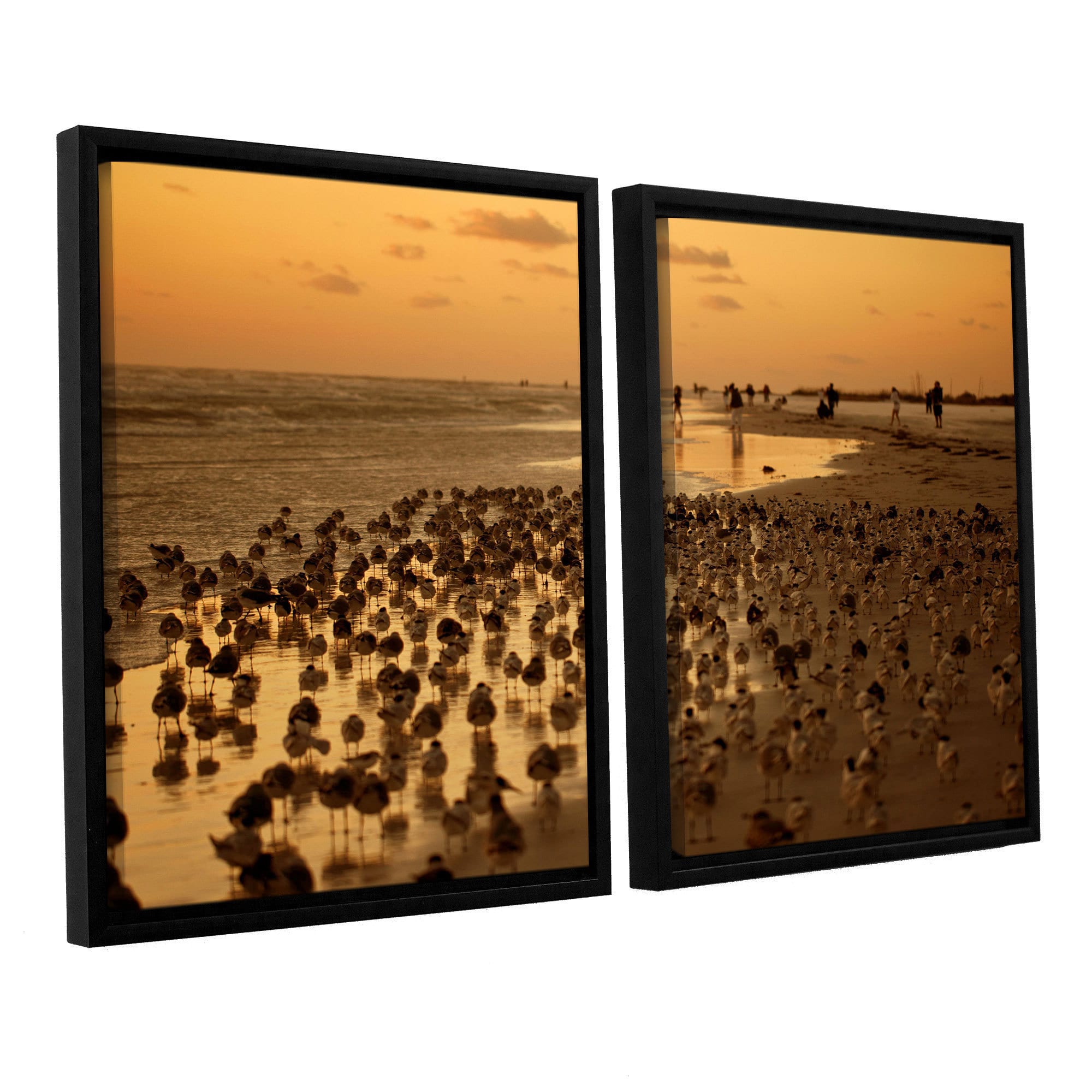 ArtWall Lindsey Janich "Seagulls III" 2-Piece Floater Framed Canvas Set