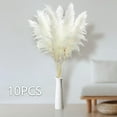 thumbnail image 5 of 10pcs 40'' Pampas Grass Tall Decor - Pompas Floral, Tall Pampas Grass for Floor Vases, Living Room Floor, Floor Plants, Plumas para, and Grass Wall Decor, 5 of 6
