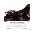 thumbnail image 2 of Tea Tree Shampoo - Deep Cleansing Shampoo - Relief for Dandruff and Dry Itchy Scalp - Nourishing The Scalp - Restoring Hair Damage 3.38 fl Oz 26s, 2 of 5
