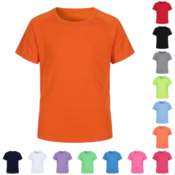 Adult Rash Guard Swim Shirt, Lightweight Quick Dry Short Sleeve, Everyday Leisure, Spring Summer Outdoor