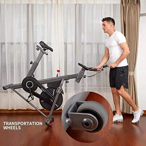 HouseFit Indoor Cycling Stationary Exercise Bike Magnetic resistance control Solid Flywheel Quiet Belt Drive with iPad Mount LCD digital monitor 