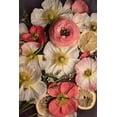 thumbnail image 2 of Maclean, Leah 11x14 Black Ornate Wood Framed with Double Matting Museum Art Print Titled - Petals and Zest, 2 of 4