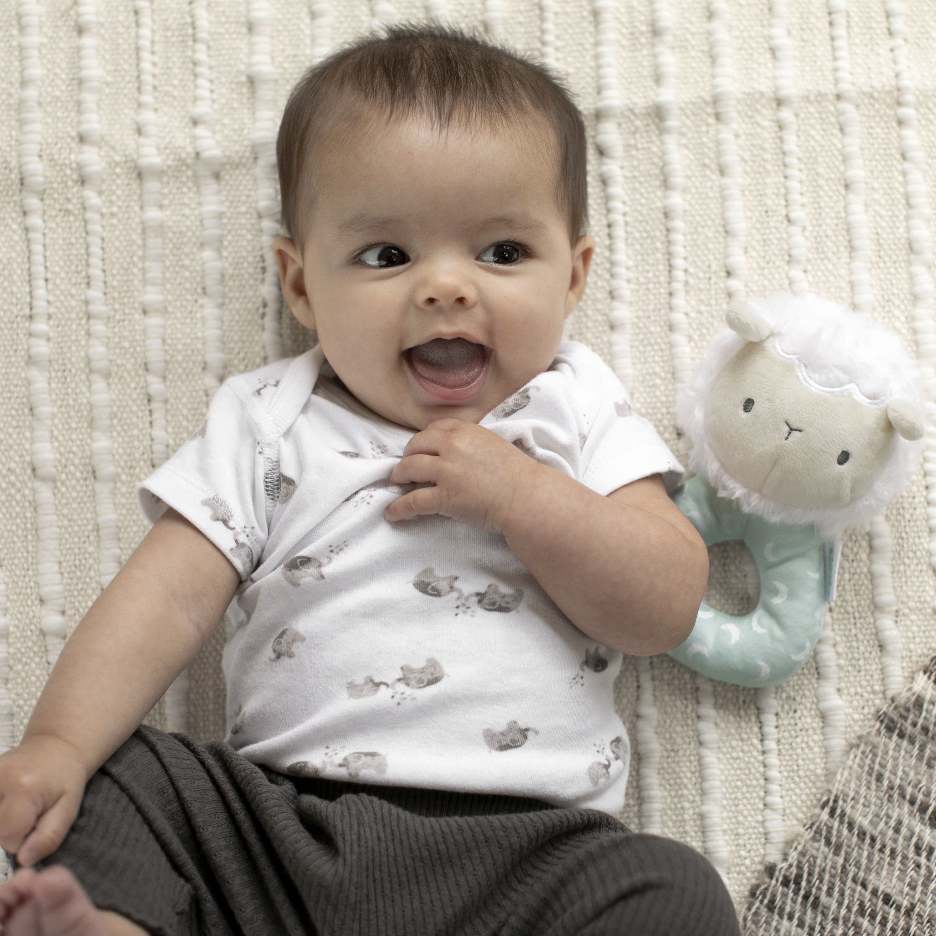 Ingenuity Premium Soft Plush Ring Rattle - Sheppy the Sheep, Ages Newborn +
