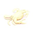 thumbnail image 5 of Orange Crab With Maroon Stripes Hollow Soft Plastic 5 12Inches Wide Across Legs F3481 B125, 5 of 7