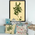 thumbnail image 3 of Designart 'Ancient Plant Life XXV' Traditional Framed Art Print, 3 of 4