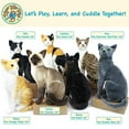 thumbnail image 5 of VIAHART Boone le Chat Noir - Peluche de 13 Pouces - par Tiger Tale Toys, 5 of 5