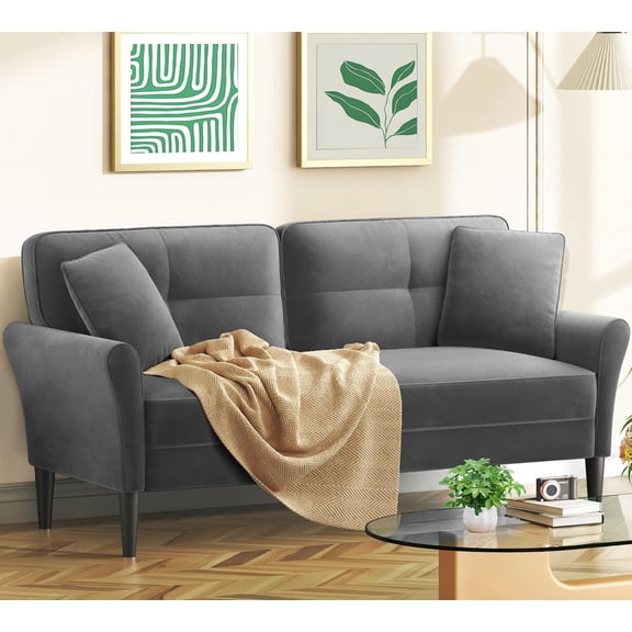 69" Loveseat Sofa, Velvet Small Couches for Small Spaces, Love Seat Couches with 2 Pillows, Tool-Free Setup Loveseats, 700lb Load Sofas for Living Room, Mini Couch for Bedroom, Comfy Sofa Couch, Grey