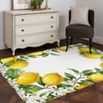 thumbnail image 3 of Summer Lemons Area Rugs 3'x5', Washable Small Throw Rugs for Living Room Bedroom, Fruits White Flowers Farmhouse Country Indoor Outdoor Rug Non-Slip Low Pile Carpet Runner Reversible Floor Mats, 3 of 8