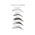Eyebrow Brow Mapping Poster Shaping Guide Chart Salon Studio - Walmart.com