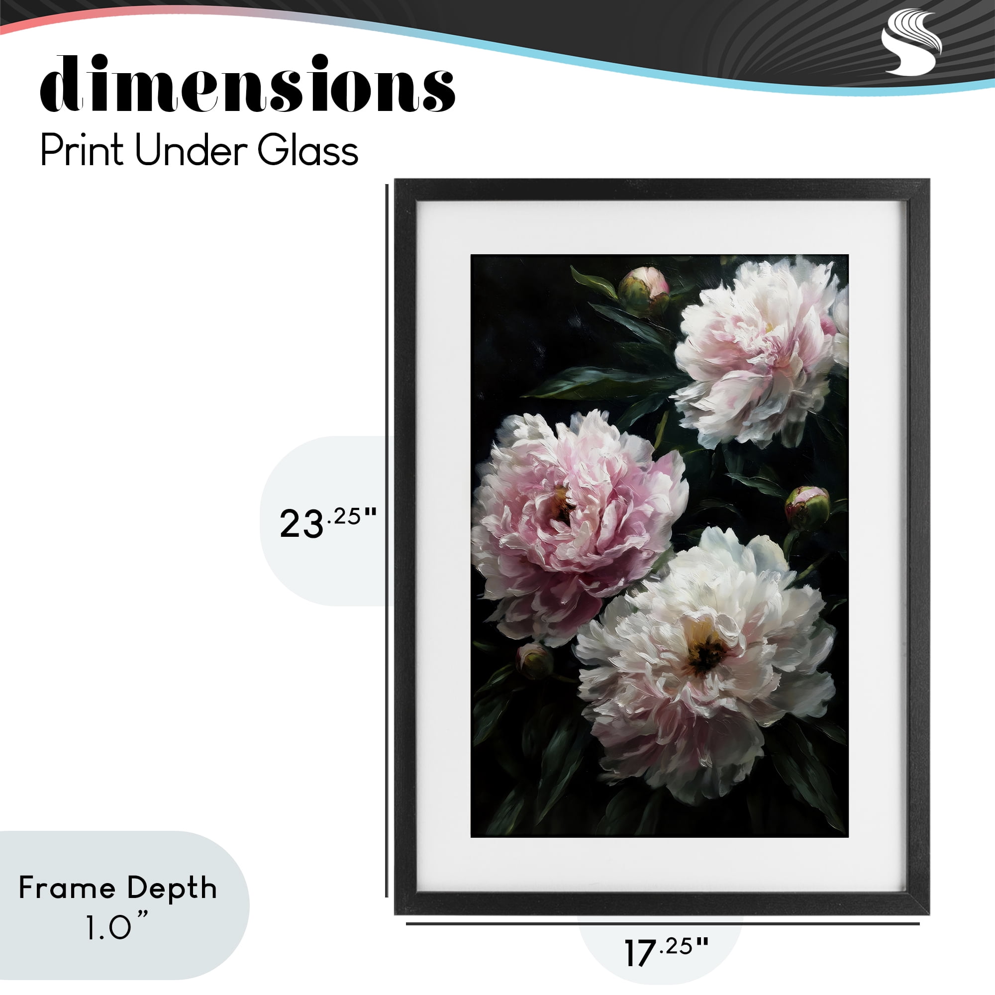 Stupell Industries Soft Pink Peony Garden Black Framed Print Under Glass, design by Petal Prints Design