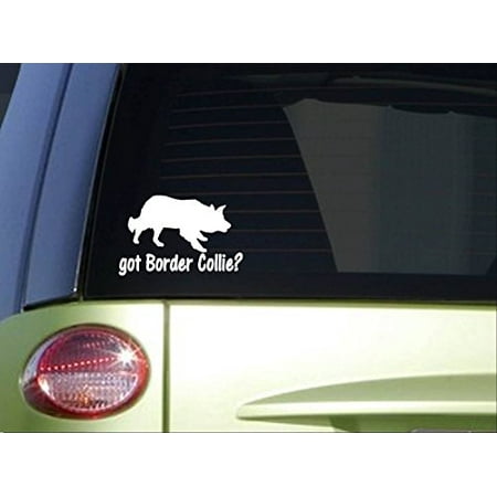 Got Border Collie - got Border Collie *I764* 6 inch Sticker decal