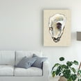 thumbnail image 3 of Trademark Fine Art Michael Willett Oyster Shell Study Iii Canvas Wall Art - 14x19, 3 of 4