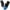 Black Skyblue, variant on DIUS Womens Water Shoes Swim Shoes for Men Beach Shoes Barefoot Aqua Shoes for Pool River Surf