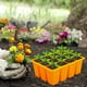 thumbnail image 1 of Bandejas de jardín Bandejas de semillas, Bandejas de semillas reutilizables para la germinación de semillas y propagación de plantas Maceta para plántulas, 1 of 8