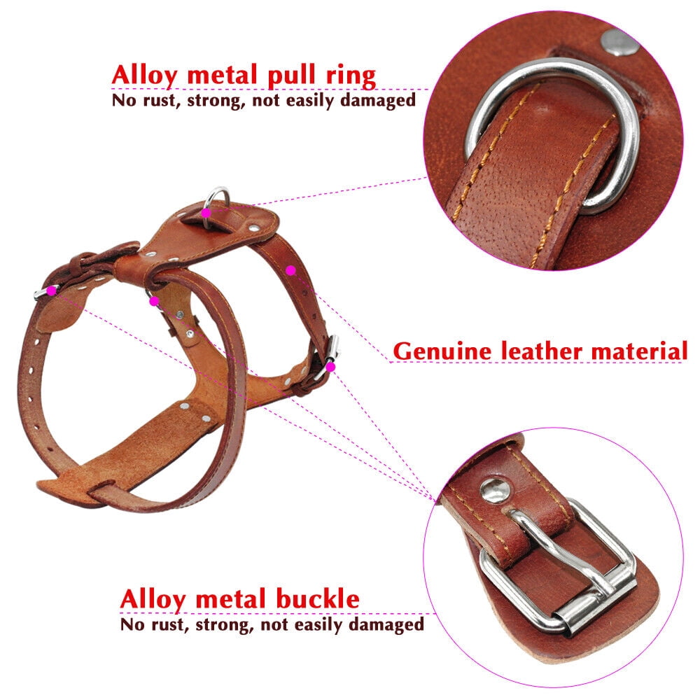 Didog Heavy Duty Genuine Leather Dog Harness Durable for Small Medium Large Dogs Boxer