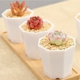thumbnail image 5 of WHAMVOX  10 Pcs Octagonal Flower Pot Container Plant White Planter Succulent Planters, 5 of 8