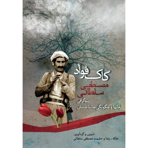 Foad Mustafa-Soltani: A look into his life, his aspirations and how he died, (Paperback)