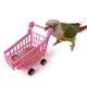 thumbnail image 4 of Juego de juguetes de entrenamiento de rompecabezas para pájaros, paquete de juguetes interactivos de mesa para loros, juguetes de construcción para pasatiempos de periquitos para lanzar aprendizaje, 4 of 5