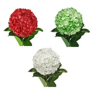 Hydrangeas 15 Stems of Airbrushed Red and Green Farm Direct Fresh Cut Flowers White by Bloomingmore