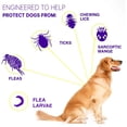 thumbnail image 4 of Collar ajustable para perro, Collar antipulgas y garrapatas, antimosquitos e insectos para mascotas, 4 of 4