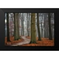 thumbnail image 2 of Podt, Martin 24x17 Black Modern Framed Museum Art Print Titled - Autumn Path, 2 of 5