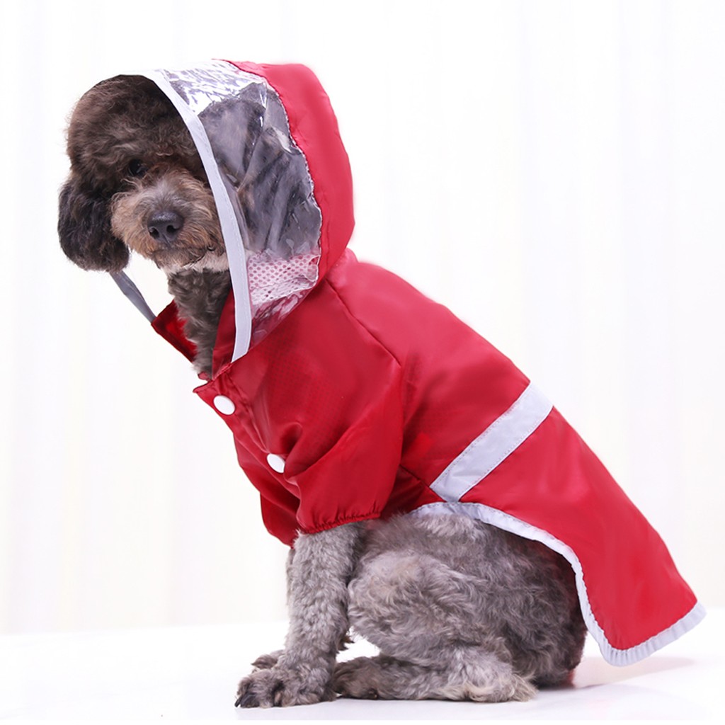 puppy waterproof jacket