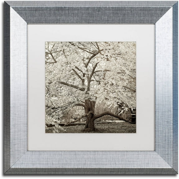 Trademark Fine Art "Hampton Magnolia II" Canvas Art by Alan Blaustein, White Matte, Silver Frame