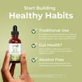 thumbnail image 6 of MaryRuth's Liquid Oregano Supplement, Pre-Diluted with Extra Virgin Olive Oil, Vegan, Gluten-Free, Dairy-Free, Unisex, 1 fl oz, 6 of 11