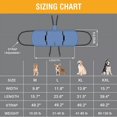 thumbnail image 2 of Mochila De Emergencia Para Perros Multifuncional Transporte, 2 of 7