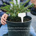 thumbnail image 3 of 100 PCS Etiquetas De Jardín Rótulo Etiqueta Clasificación Planta Jardinería Placa Escritura Plástico Tablero Tarjeta Enchufable, 3 of 5
