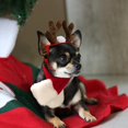 thumbnail image 5 of Disfraz para mascota: disfraz de marinero para perro pequeño y gato, sombrero de bruja de Halloween, conjunto de Papá Noel, diadema de astas navideñas con bufanda, atuendo para mascota de Año Nuevo, 5 of 5